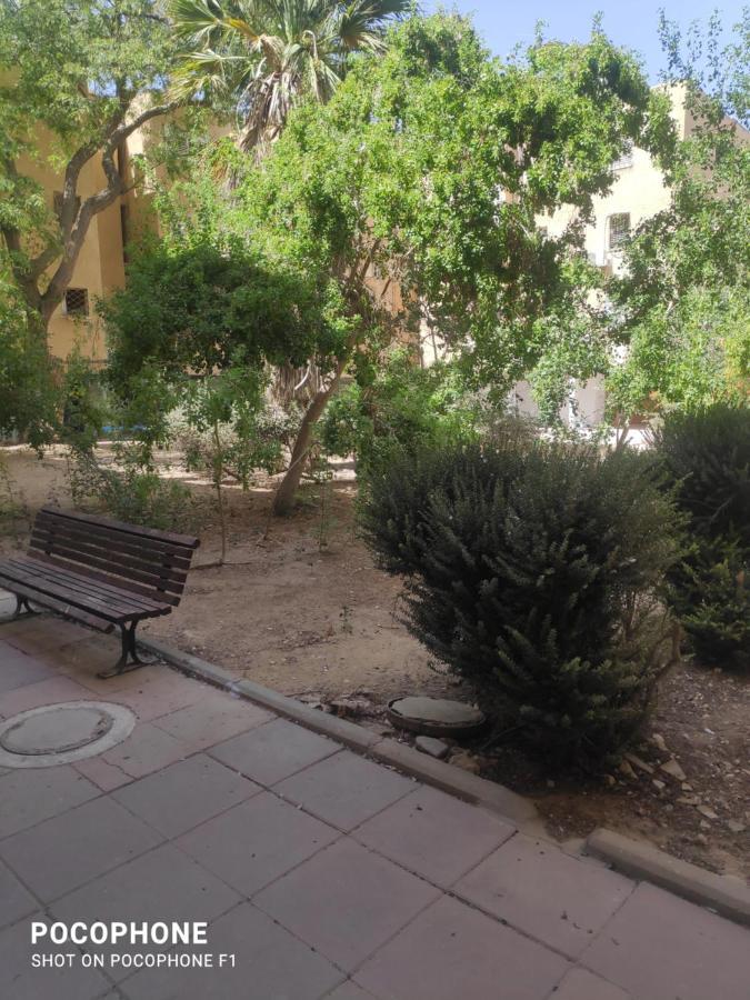 Апартаменты סוויטה של אלון Арад Экстерьер фото