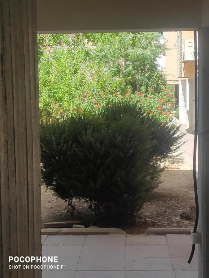 Апартаменты סוויטה של אלון Арад Экстерьер фото